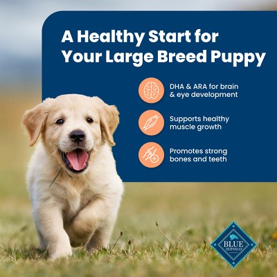 Blue Buffalo Life Protection Formula Natural Puppy Large Breed Dry Dog Food with Chicken and Brown Rice - 24lbs (LOCAL PICKUP ONLY)