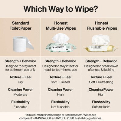 The Honest Company Flushable Wipes - Gilded Wings - 126ct: Unscented