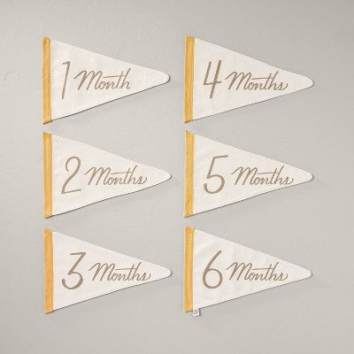 Newborn Milestone Pennants 6pc - Hearth & Hand with Magnolia