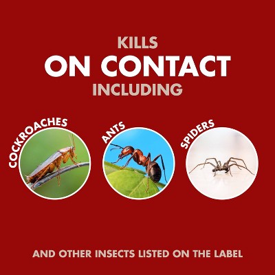 Spectracide Bug Stop Flip and Go Insecticide 64oz