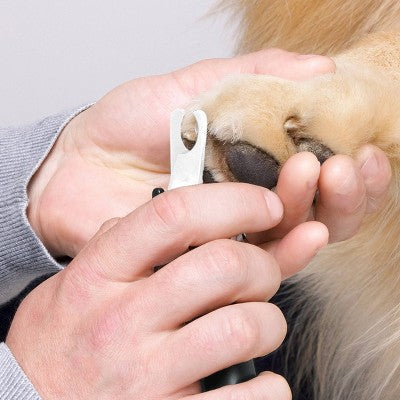 Tweezerman Large Pet Precision Nail Clipper