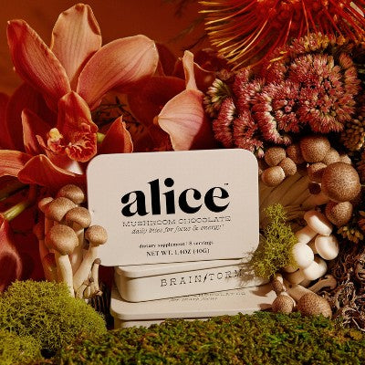 Alice Mushrooms Brainstorm Mushroom Dietary Supplement Chocolates - 8ct