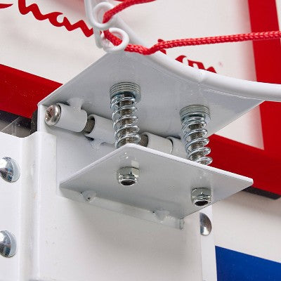 Champion Alley-Oop Mini Hoop Set