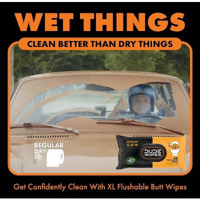 Dude Wipes Dumpkin Spice Flushable Wipes - 3pk/144ct