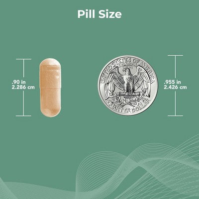 ProCerv HP® High-Potency Multivitamin