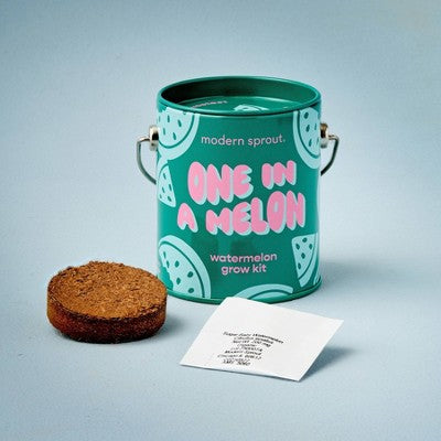 Modern Sprout Watermelon Complimentary Color Grow One in a Melon Seed Starter Kit
