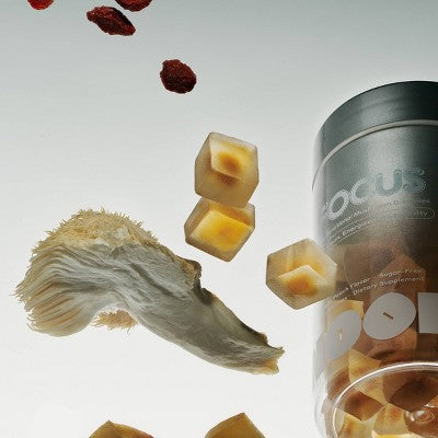 NOON WORLD Focus Daily Functional Mushroom Gummies - Fresh Peach - 60ct