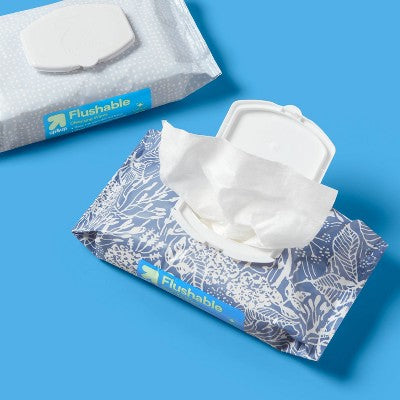 Flushable Cleansing Wipes - Fresh Scent - 2pk/60ct - up&up
