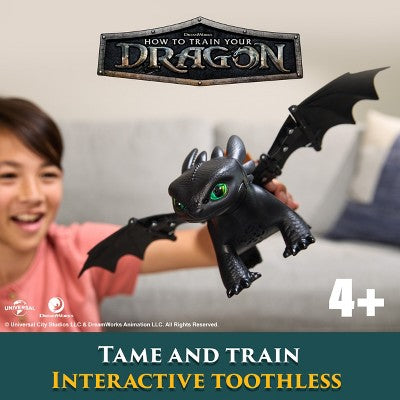 How to Train Your Dragon Tame & Train Interactive Toothless