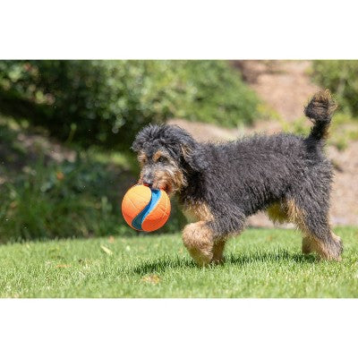 Chuckit! Kick Fetch Dog Ball Toy