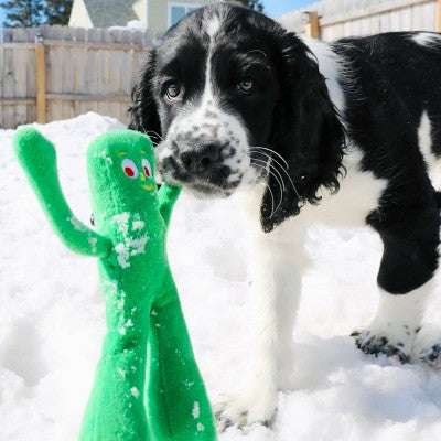 Multipet Gumby Plush Dog Toy - 9": Squeaks, For All Ages, Easter Theme