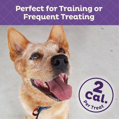 Old Mother Hubbard by Wellness Training Crunchy Dog Treat Bitz with Chicken Flavor - 8oz