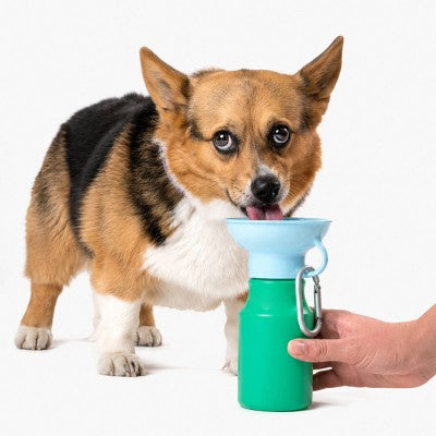 Springland 15 fl oz Mini Travel Dog Water Bottle - Green/Sky Blue