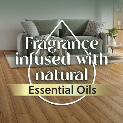 Air Wick Essential Mist Aromatherapy Diffuser Refills - Calming Sea Spray & Breeze - 2ct