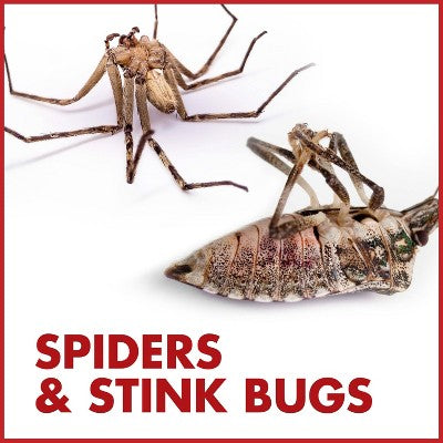 Spectracide Bug Stop Flip and Go Insecticide 64oz