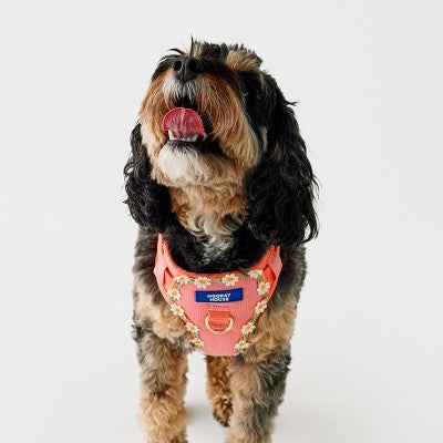 Hooray House Daisy Dog Harness - M