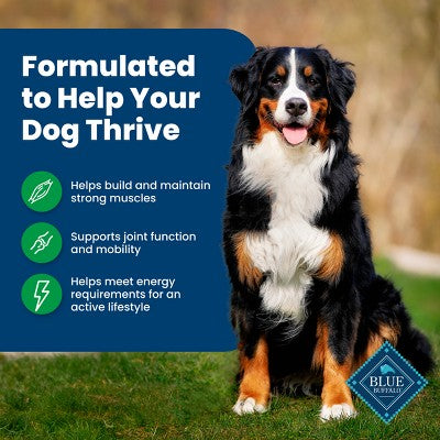 Blue Buffalo Life Protection Formula Natural Adult Dry Dog Food with Lamb and Brown Rice - 15lbs (LOCAL PICKUP ONLY)