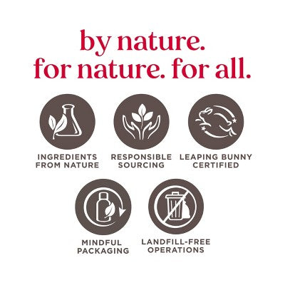 Burt's Bees Hive Favorites Lip Balm Gift Set - Vanilla Bean