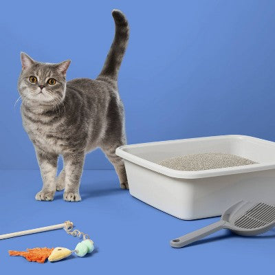 Standard Waste Cat Pan - Gray - L - up&up: Polypropylene, All Ages, Cat Litter Pan