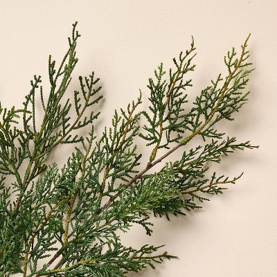 42" Cedar Artificial Branch - Hearth & Hand with Magnolia (LOCAL PICKUP ONLY)