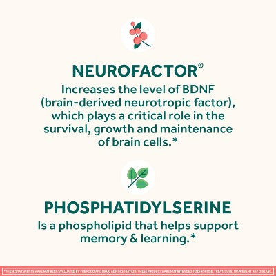 Neuriva Original Brain Performance Capsules - 30ct