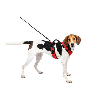 PetSafe EasySport Adjustable Dog Harness - L - Red: Comfort-Grip, Reflective, Reinforced Stitching, Adjustable
