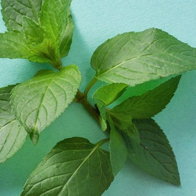 eos Organic Lip Balm Sticks - Sweet Mint - 2pk/0.28oz