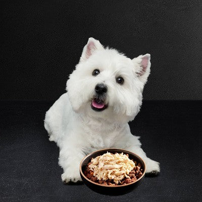 Cesar Wholesome Bowls Chicken, Potato, Carrot, Vegetable and Beef Flavor Variety Pack Small Breed Wet Dog Food - 3oz/6ct