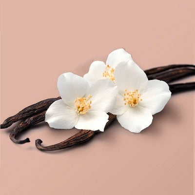 Beloved Coconut & Warm Vanilla Body Cream 10oz