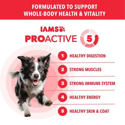IAMS Proactive Health Minichunks Lamb and Rice Recipe Adult Dry Dog Food - 5lbs