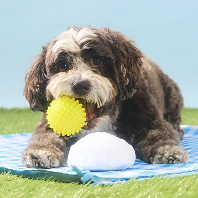 2pc Bark Fetch It Dog Ball Toy Deviled Begg Size XS-M (0-50) lbs
