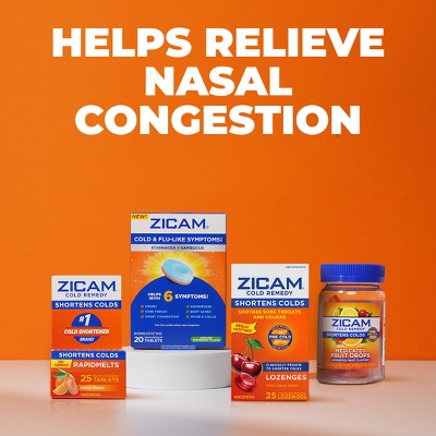 Zicam Cold Remedy Cold Shortening Medicated Zinc-Free Nasal Swabs - 20ct