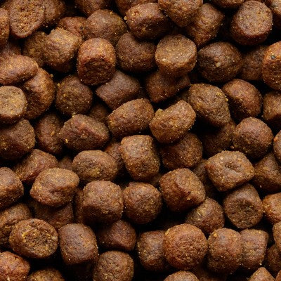 Stella & Chewy's Pork, Beef and Lamb Flavor Wild Red Raw Coated Grain and Legume Free Dry Dog Food - 3.5lbs