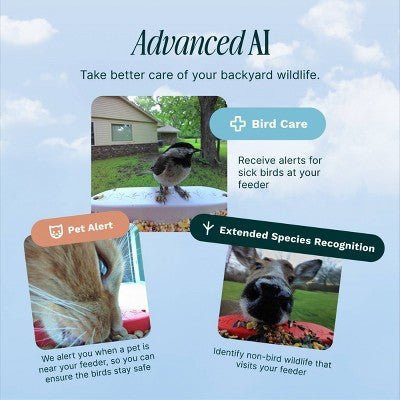 Birdbuddy Pro Solar Smart Bird Feeder + Perch Extender