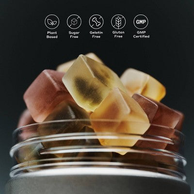 NOON WORLD Sleep Daily Functional Mushroom Gummies - White Tea Berry - 60ct