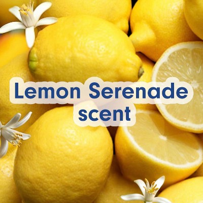 Softsoap Spring Liquid Hand Soap - Lemon Serenade - 11.25 fl oz