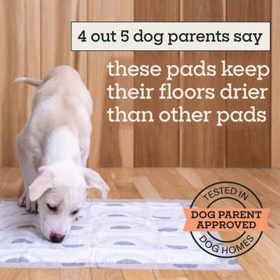 Pet Life Unlimited Puppy Smart Prints Training Dog Pads - L - 40ct