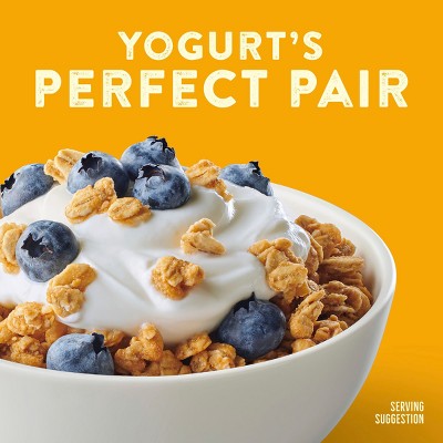 Nature Valley Protein Oats 'n Honey Crunchy Granola - 11oz