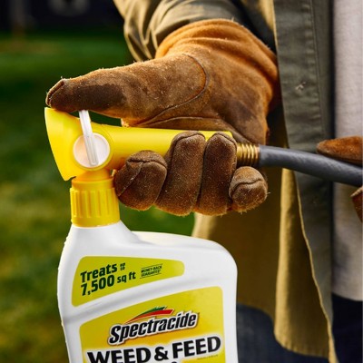 32 fl oz Ready-to-Spray Weed & Feed - Spectracide