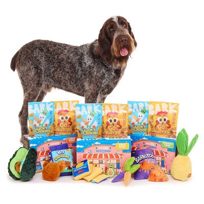 BARK Beg-n-Bag Large Box Dog Plush Toy Set - 5pc
