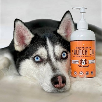 Dog Company Wild Alaskan Salmon Oil - 16oz: Supports Aging, Immune System, Skin & Coat, Joint Health