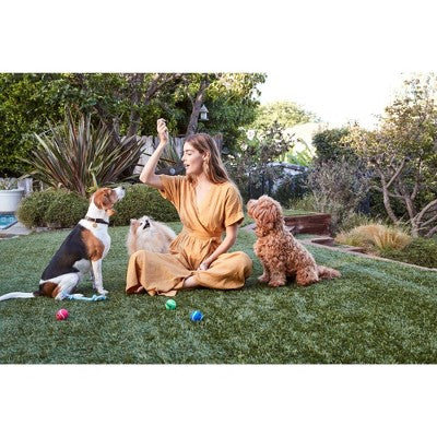 Full Moon Chicken Jerky Hip & Joint Dog Treats - 12oz