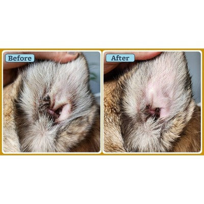 Veterinary Formula Clinical Care Ear Health Therapy Formula for Cats and Dogs - 4 fl oz