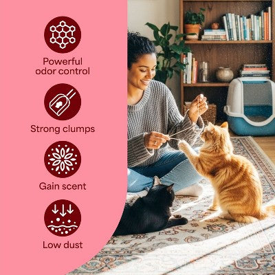 Fresh Step Odor Shield Multi-Cat Clumping Cat Litter - Gain Scented - 22lbs (LOCAL PICKUP ONLY)