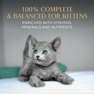 Sheba Perfect Portions Salmon Flavor Soft Pate Kitten Wet Cat Food - 2.64oz