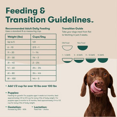 Jinx Beef Flavor Dry Dog Food - 4lbs