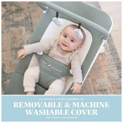 Baby Delight Highland Portable Bouncer - Organic Sage: Folds for Easy Transport, 3-Point Harness, Steel Frame