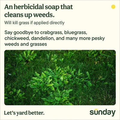 Sunday Weed Warrior Herbicide 1gal