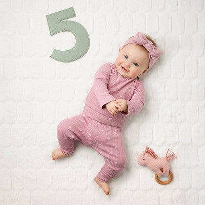 Milestone Felt Numbers - Multi Color - Cloud Island
