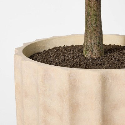 Shady Lady Tree in Ceramic Pot - Threshold designed with Studio McGee (LOCAL PICKUP ONLY)